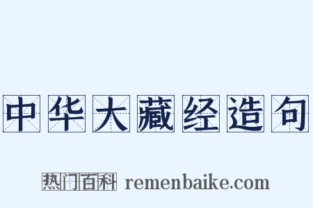 中华大藏经造句是什么意思的图片